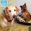 Update on Hazel and Aiden